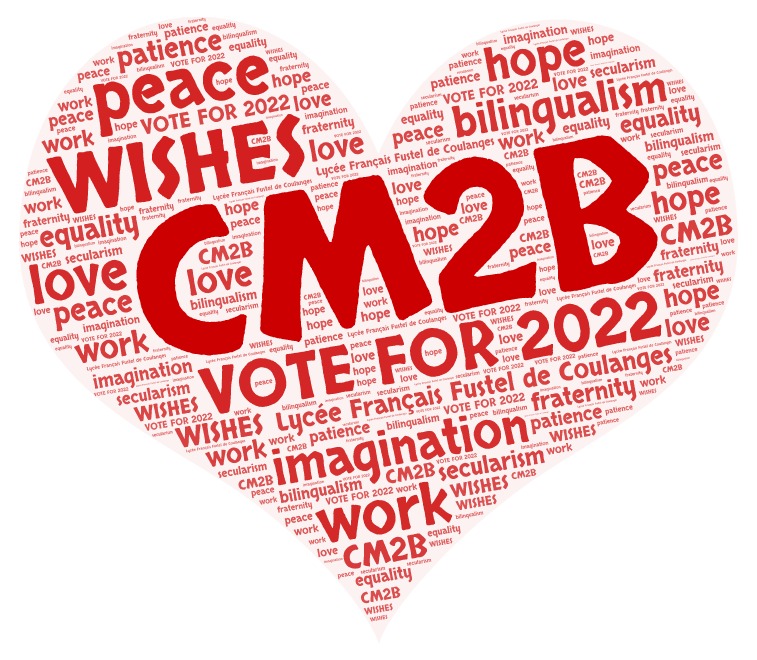 CM2B vote for 2