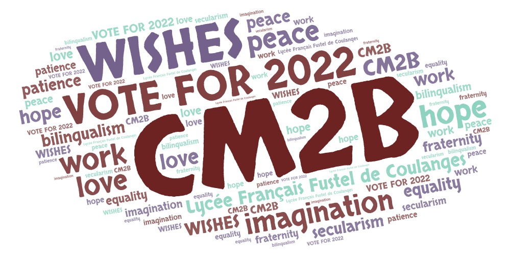 CM2B vote for 3