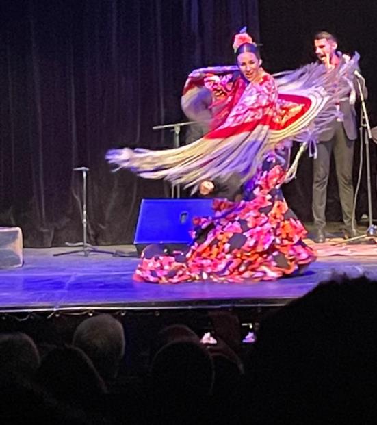 spectacle Flamenco à l'IFC